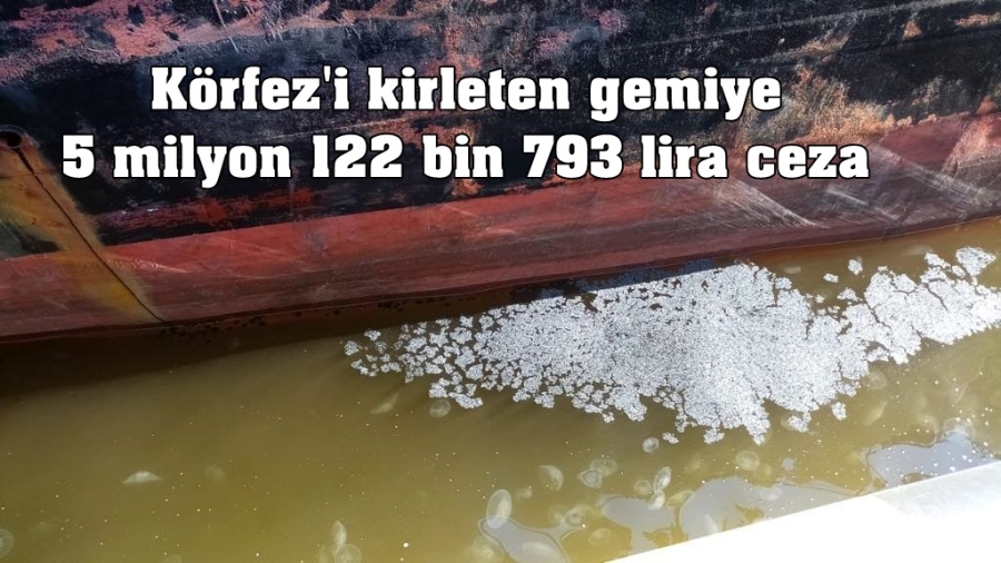 Körfez