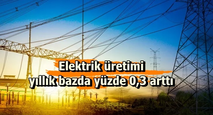 Elektrik üretimi yıllık bazda yüzde 0,3 arttı