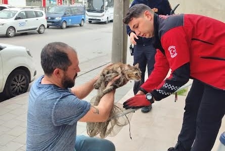  Büyükşehir itfaiyesinin hızlı müdahalesi ile kurtarıldı