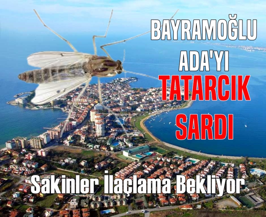 Bayramoğlu Ada