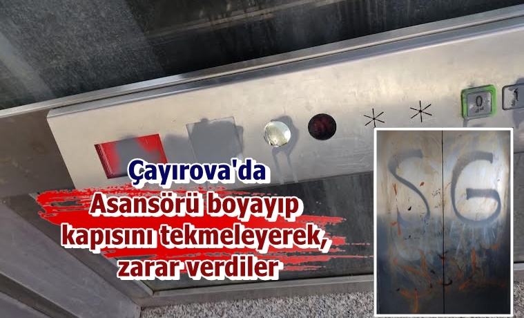 Asansörü boyayıp kapısını tekmeleyerek, zarar verdiler