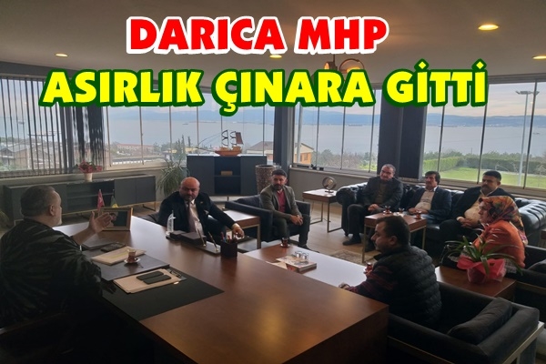 Darıca MHP Asırlık Çınar