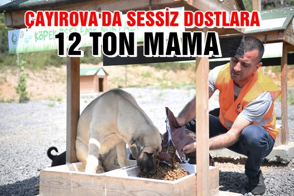 Sokak hayvanlarına 12 ton mama dağıtıldı