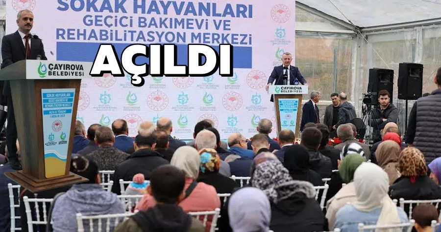 Sokak Hayvanları Geçici Bakımevi hizmete açıldı