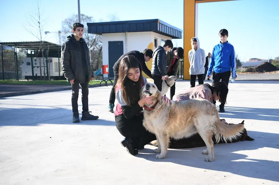 Öğrenciler, Sokak Hayvanları Bakımevi’ni gezdi