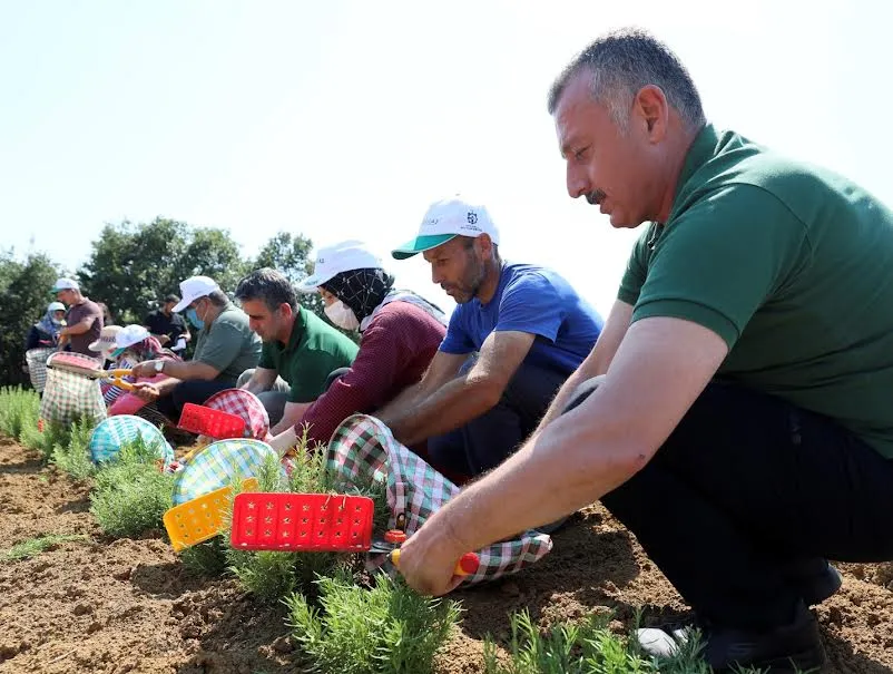 Büyükşehir’den tarıma 236 milyon 210 bin TL destek