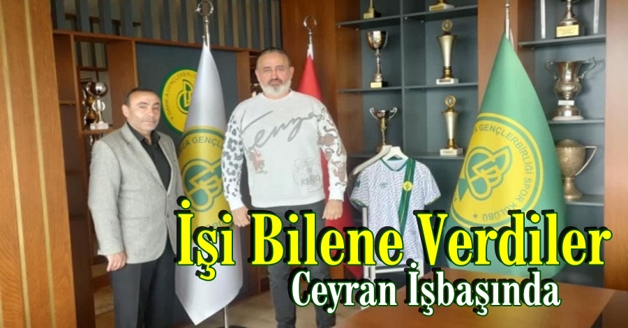 Ceyran İşbaşında