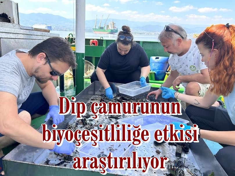 Dip çamurunun biyoçeşitliliğe etkisi araştırılıyor