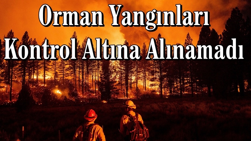 Orman Yangınları Kontrol Altına Alınamadı