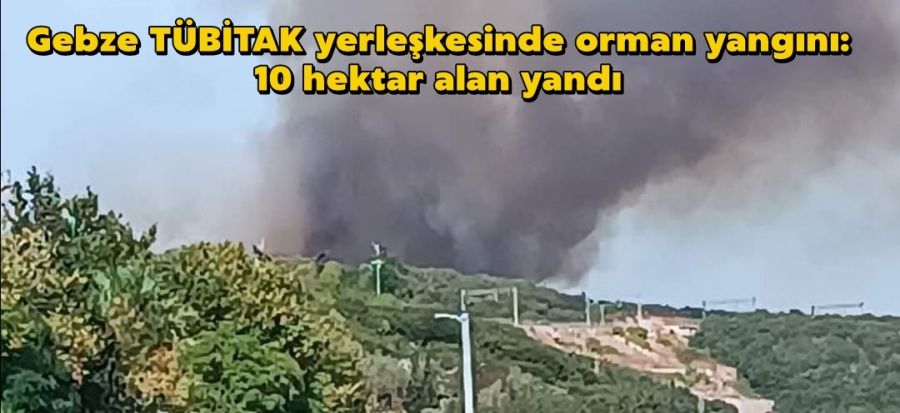 TÜBİTAK yerleşkesinde orman yangını