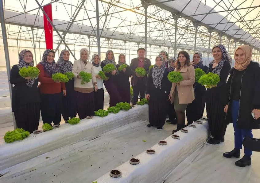 Topraksız tarım projesine kadın çiftçilerden yoğun ilgi