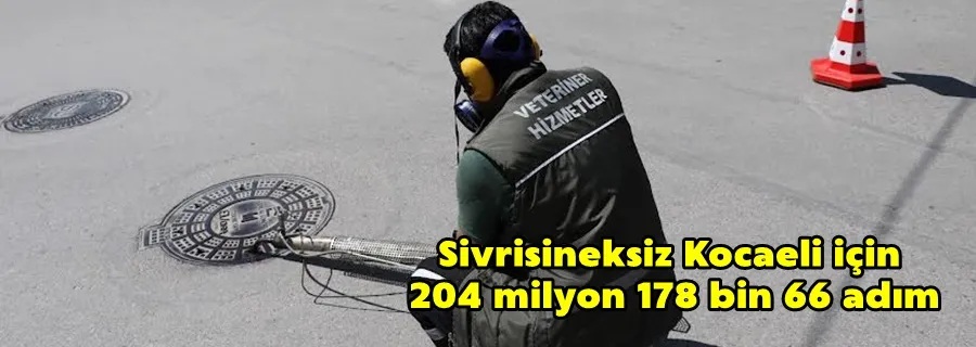 Sivrisineksiz Kocaeli için 204 milyon 178 bin 66 adım