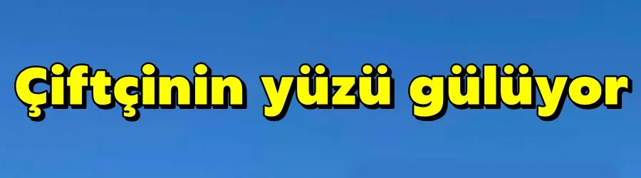 çiftçinin yüzü gülüyor