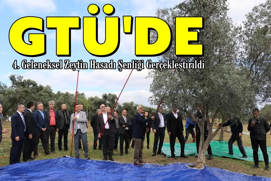 GTÜ’de 4. Geleneksel Zeytin Hasadı Şenliği Gerçekleştirildi