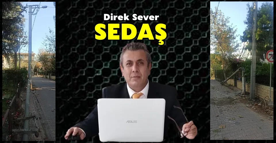 Seviyor Kelime Oyununu Bu SEDAŞ!