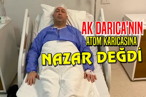 Ak Darıca