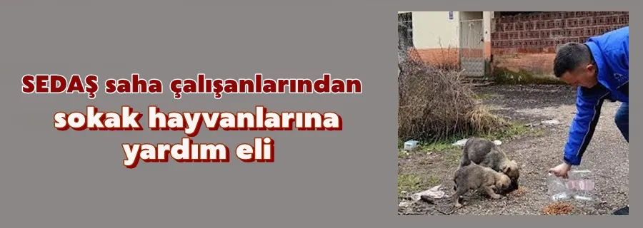 SEDAŞ saha çalışanlarından sokak hayvanlarına yardım eli