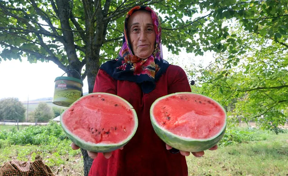 Büyükşehir’den üreticilere karpuz tohumu desteği