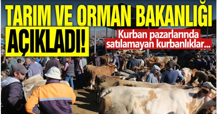 Tarım ve Orman Bakanlığı açıkladı: Kurban pazarlarında satılamayan kurbanlıklar...