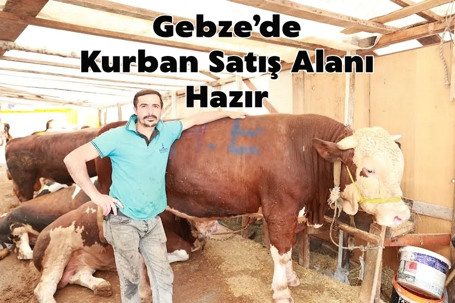 Gebze’de Kurban Satış Alanı Hazır