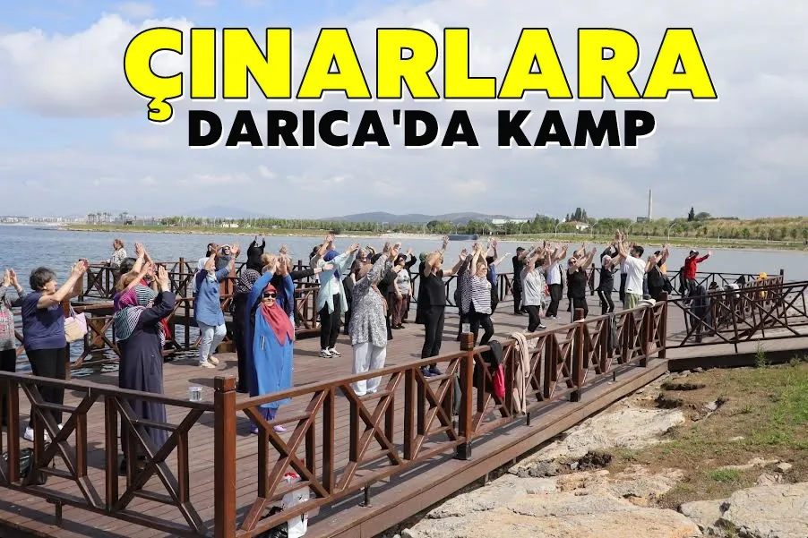 Çınarlara Darıca