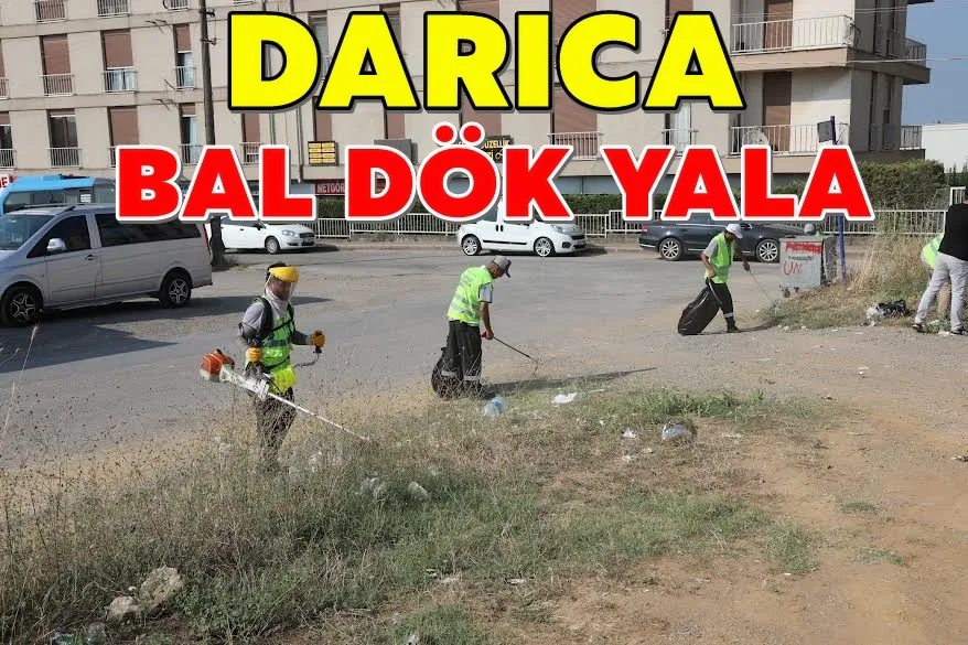 Darıca köşe bucak temizleniyor