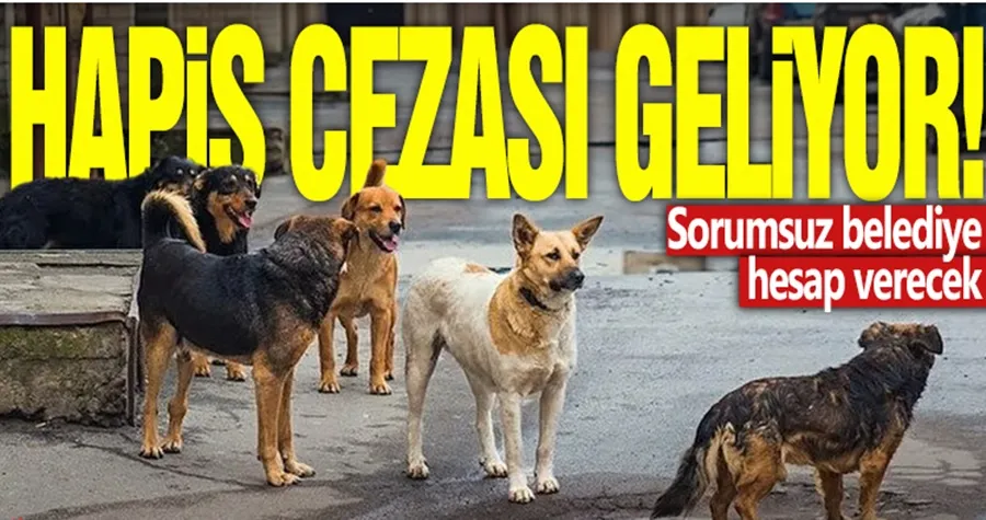 Hapis cezası geliyor! Sorumsuz belediye hesap verecek