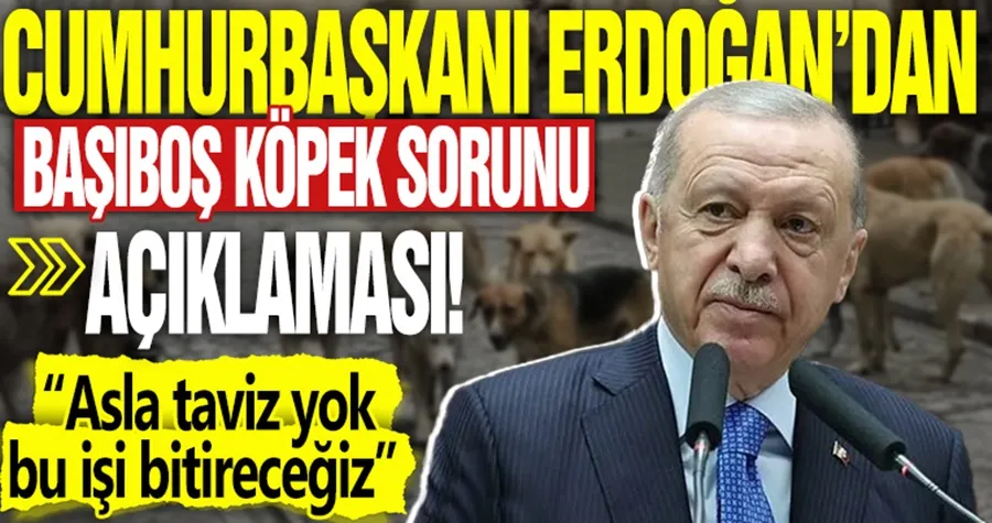 Cumhurbaşkanı Erdoğan