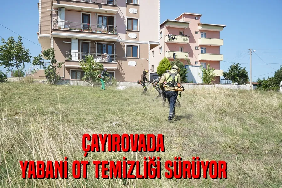 Çayırova’da yabani ot temizliği sürüyor