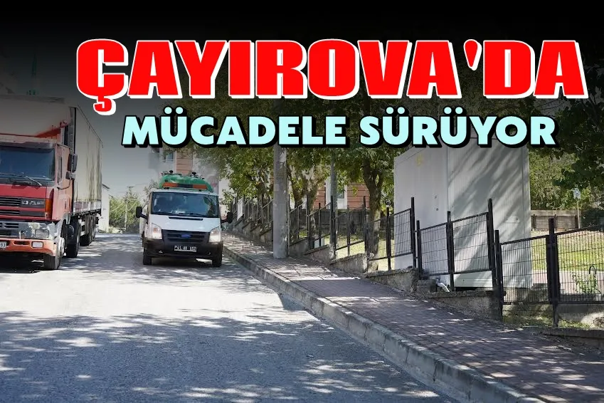 Çayırova