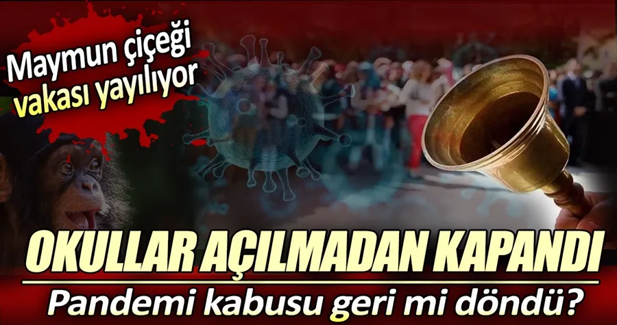 Maymun çiçeği vakası yayılıyor. O ülkelerde okullar açılmadan kapandı