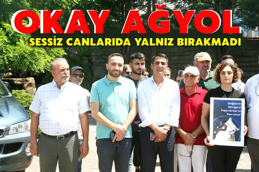 Okay Ağyol Sessiz Canları da Yalnız Bırakmadı