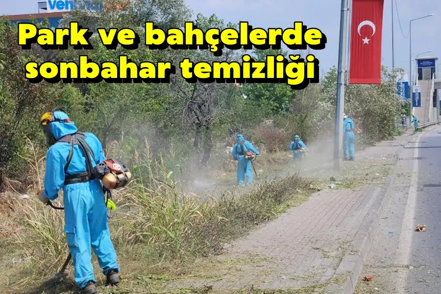 Park ve bahçelerde sonbahar temizliği