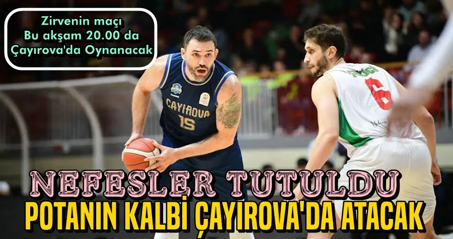 Potanın Kalbi Çayırova