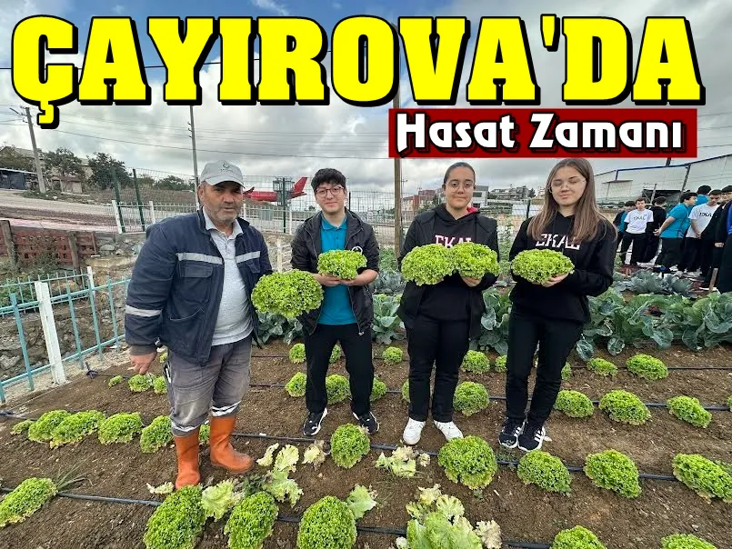 EKAL öğrencileri, Bahçem Çayırova’da hasat yaptı