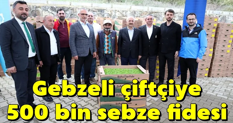 Gebzeli çiftçiye 500 bin sebze fidesi