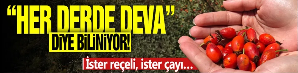 “Her derde deva” diye biliniyor! İster reçeli, ister çayı…
