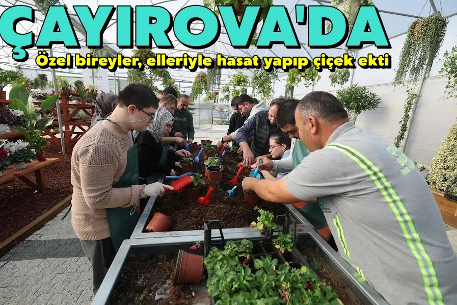 Çayırova