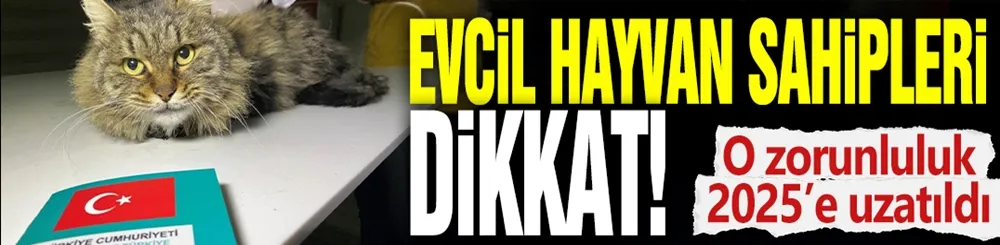 Evcil hayvan sahipleri dikkat! O zorunluluk 2025