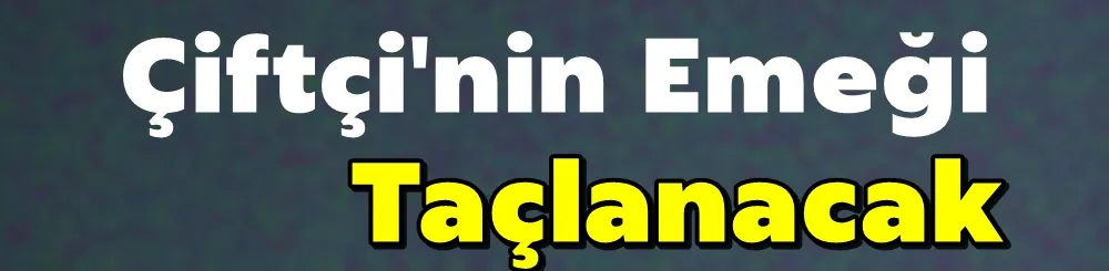 Çiftçi