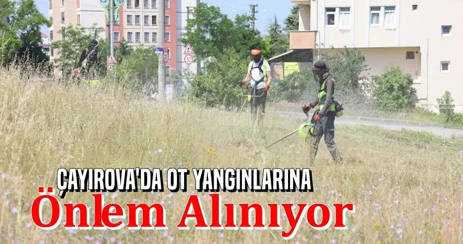 Boş arazilerdeki otlar biçiliyor
