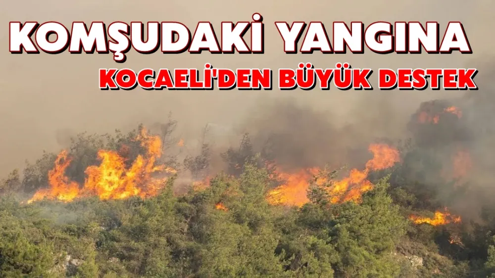 Komşudaki yangına çok sayıda araç ve ekiple müdahale