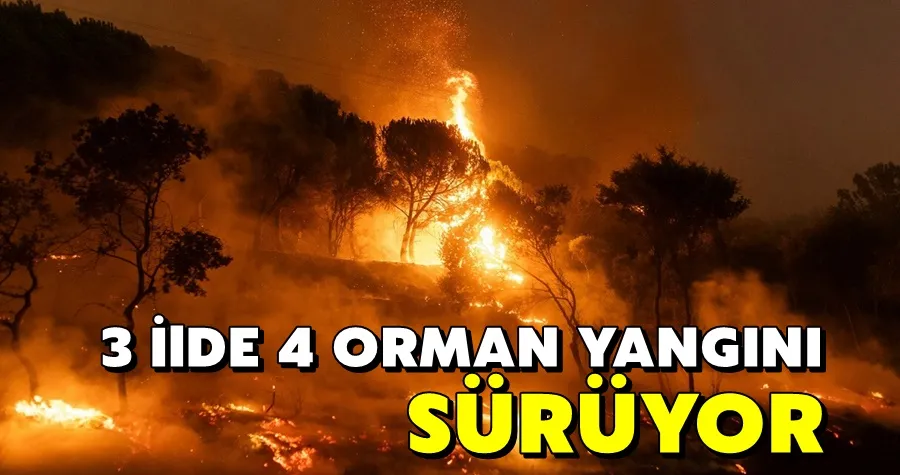 Orman yangınlarında son durum: 3 ilde 4 yangın sürüyor