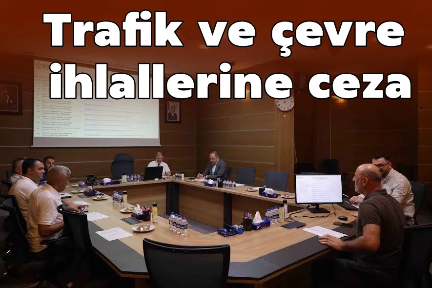 Trafik ve çevre ihlallerine ceza