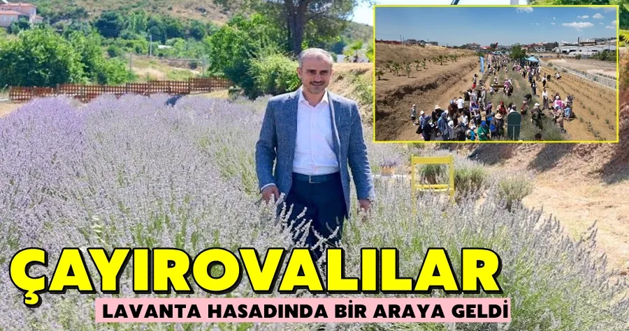 Çayırovalılar, lavanta hasadında bir araya geldi