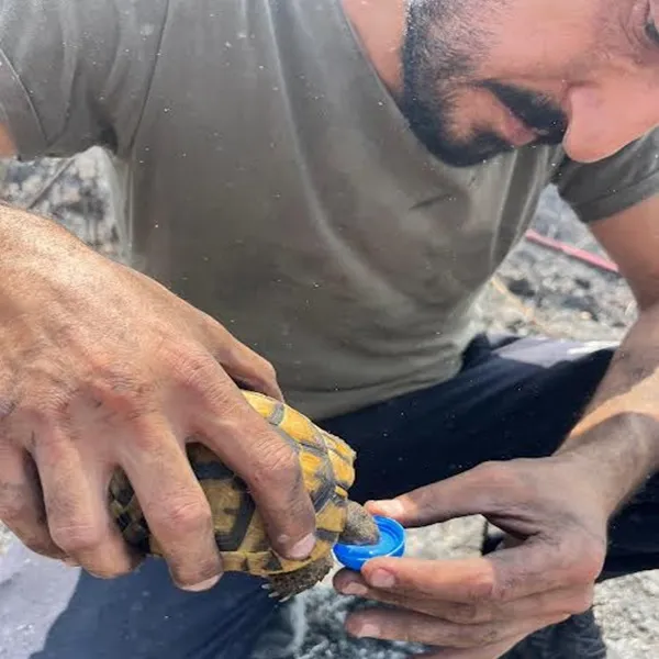 Alevlerin ortasında bir damla hayat