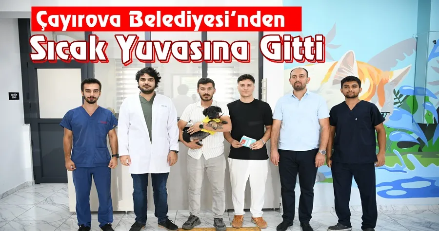 Zift, yeni yuvasına uğurlandı