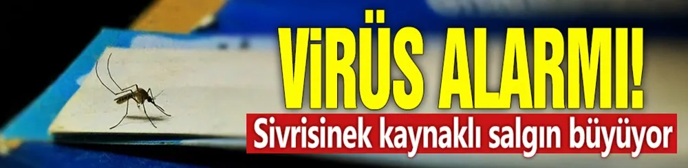 Virüs alarmı! Sivrisinek kaynaklı salgın büyüyor